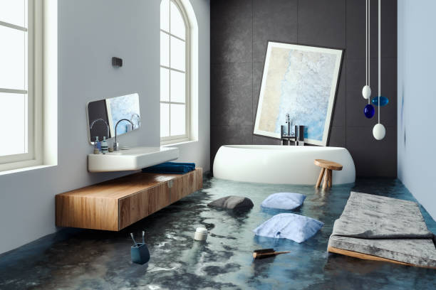 Best Carpet water damage restoration  in Forestville, OH