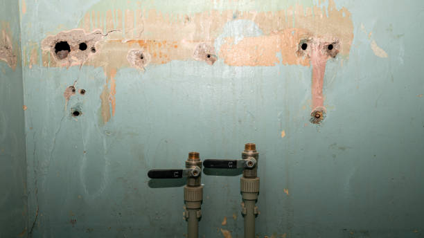 Best Fire Damage Restoration  in Forestville, OH